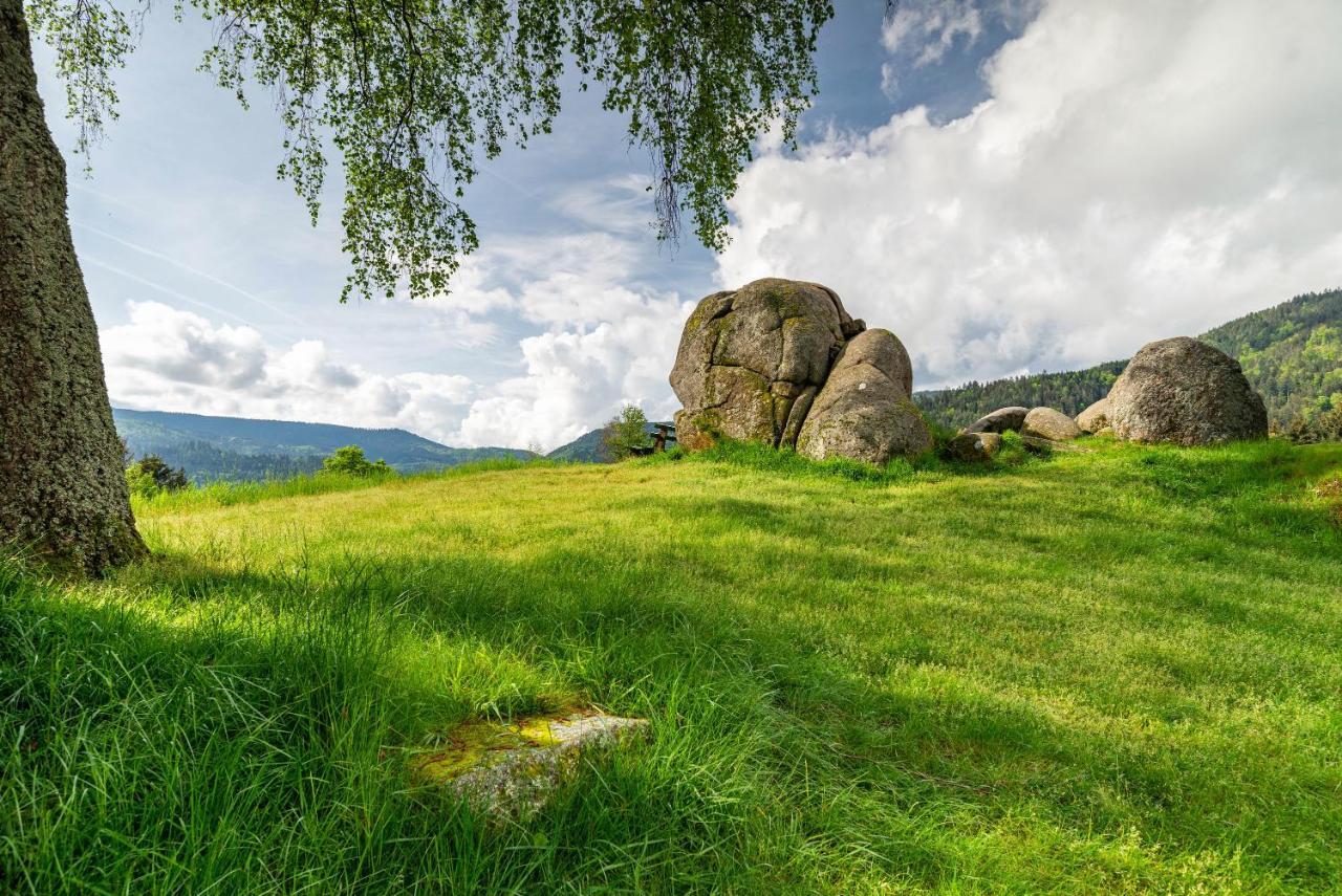 Bergblick Apartamento Forbach Exterior foto